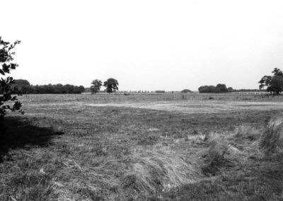 De Mandelanden aan de oostzijde van Borger.